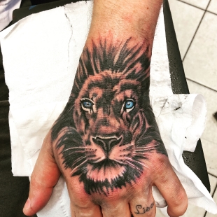 Lion_1